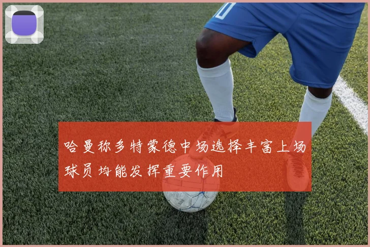 哈曼称多特蒙德中场选择丰富上场球员均能发挥重要作用