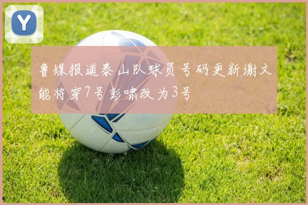鲁媒报道泰山队球员号码更新谢文能将穿7号彭啸改为3号
