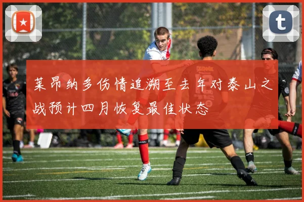 莱昂纳多伤情追溯至去年对泰山之战预计四月恢复最佳状态