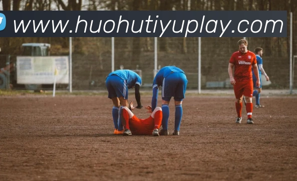 火狐体育平台生态图